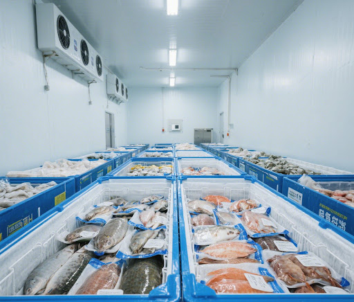 Brampton Fishing Co Pty Ltd