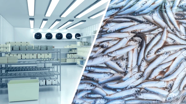 Brampton Fishing Co Pty Ltd