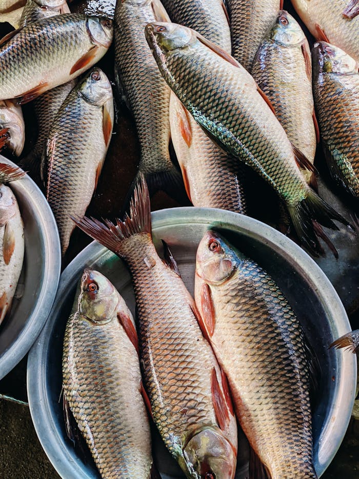 Close-up of fresh Rohu fish in metal trays at a seafood market.