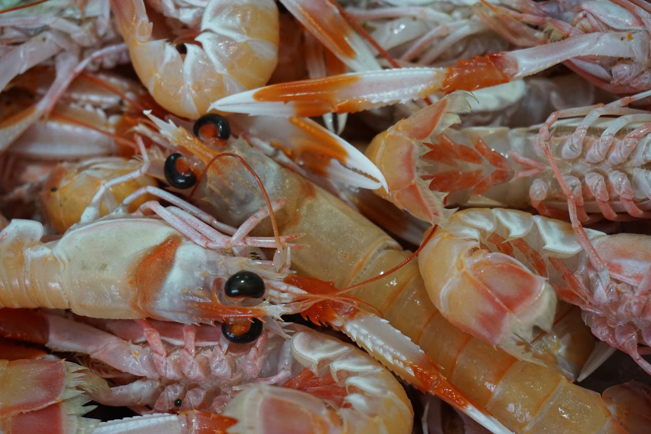 Close-up of fresh raw langoustines at a seafood market, vibrant and fresh.