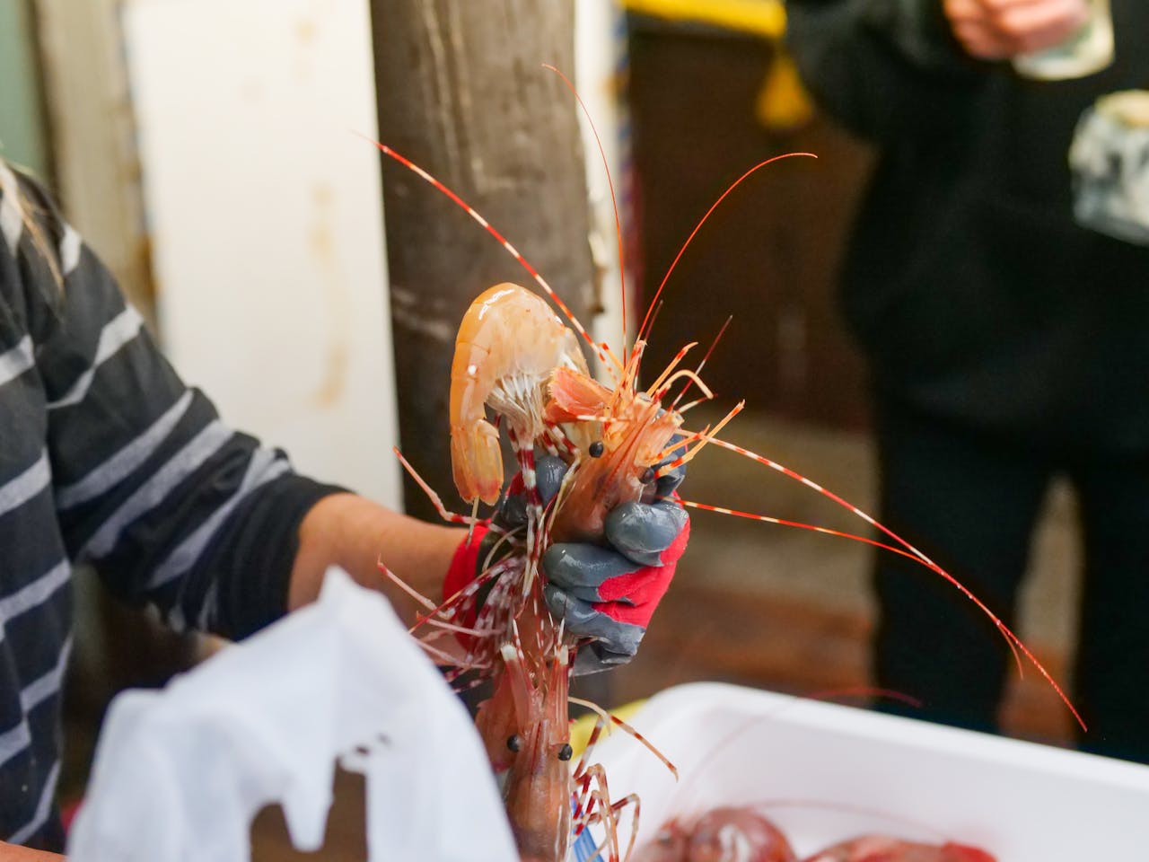 A merchant handling fresh seafood in an indoor market.